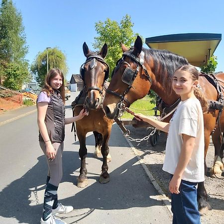 Glamping-Paradies Am Dengler Hof Hohenberg an der Eger Esterno foto