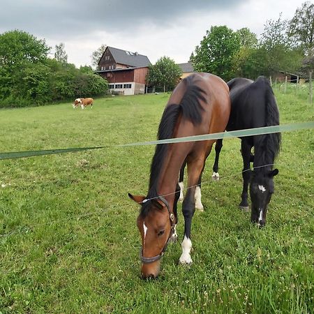 Glamping-Paradies Am Dengler Hof Hohenberg an der Eger Esterno foto