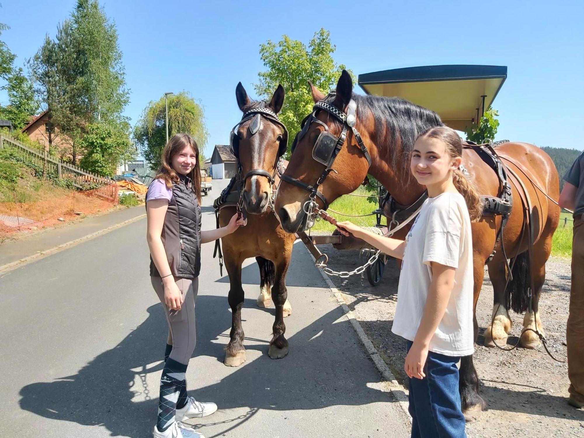 Glamping-Paradies Am Dengler Hof Hohenberg an der Eger Esterno foto